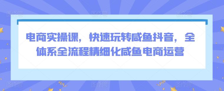 电商实操课，快速玩转咸鱼抖音，全体系全流程精细化咸鱼电商运营-灼光资源宝库
