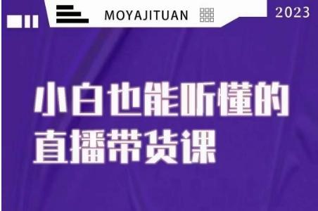 大威本威·能听懂的直播带货课，小白也能听懂，20节完整-灼光资源宝库
