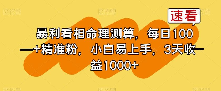 暴利看相命理测算，每日100+精准粉，小白易上手，3天收益1000+【揭秘】-灼光资源宝库