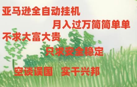 亚马逊全自动浏览挂机，，收益稳定且前景广阔-灼光资源宝库