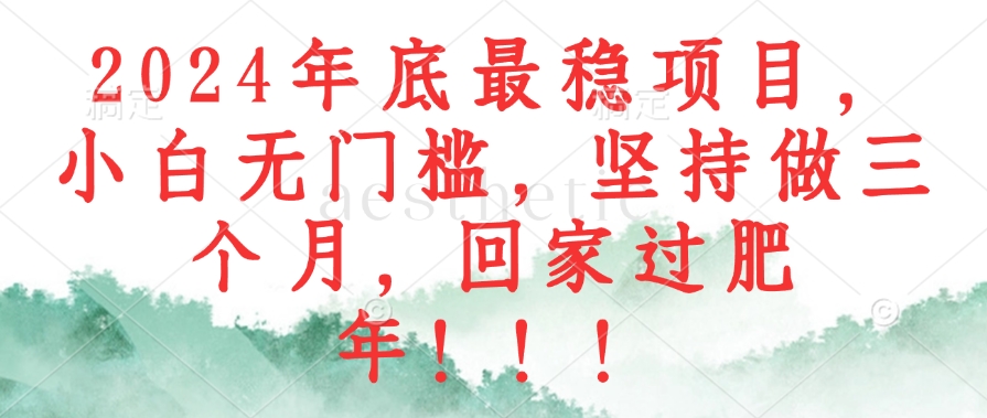 2024年底最稳项目，小白无门槛，坚持做三个月，回家过肥年！！！-灼光资源宝库