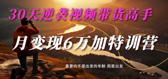 30天逆袭视频带货高手，单月变现6万加特训营-麦子甜-灼光资源宝库