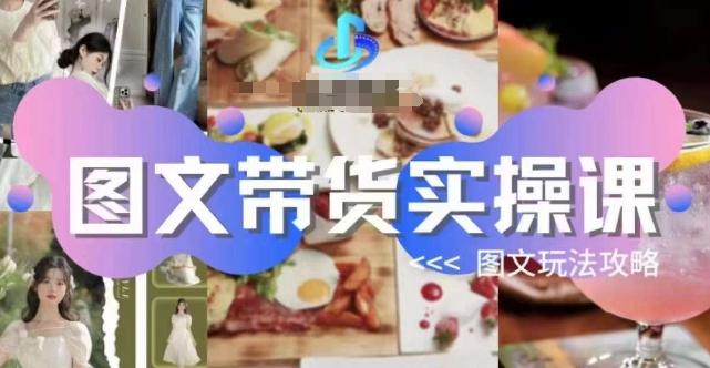 图文带货实操课，图文玩法攻略玩法-蘑菇资源宝库