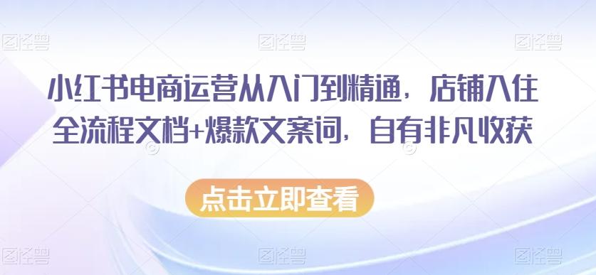 小红书电商运营从入门到精通，店铺入住全流程文档+爆款文案词，自有非凡收获-灼光资源宝库