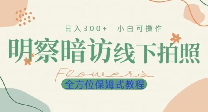 明拍暗拍项目0成本投入日入300+小白可操作保姆式全方位教程-灼光资源宝库