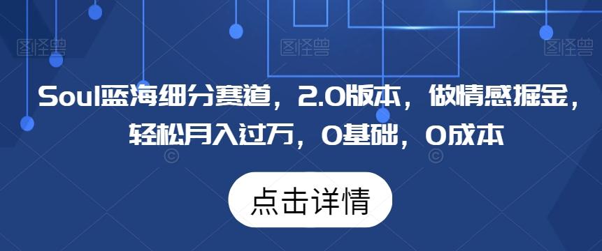 Soul蓝海细分赛道，2.0版本，做情感掘金，轻松月入过万，0基础，0成本-灼光资源宝库