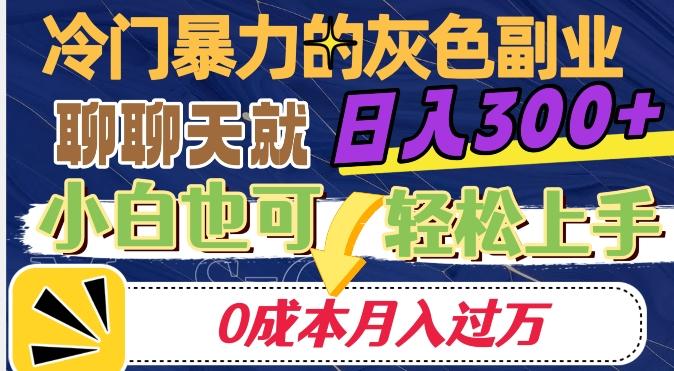 冷门暴利的副业项目，聊聊天就能日入300+，0成本月入过万【揭秘】-灼光资源宝库