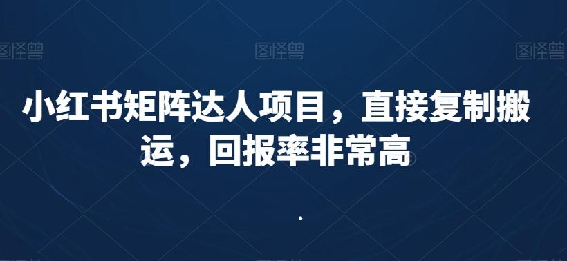 小红书矩阵达人项目，直接复制搬运，回报率非常高-灼光资源宝库