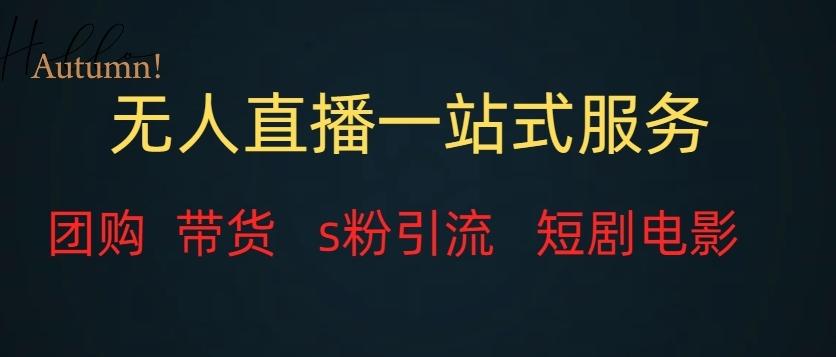 无人直播一站式服务（教程以及变现方式）-灼光资源宝库