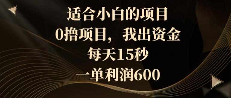 适合小白的项目，0撸项目，我出资金，每天15秒，一单利润600-灼光资源宝库