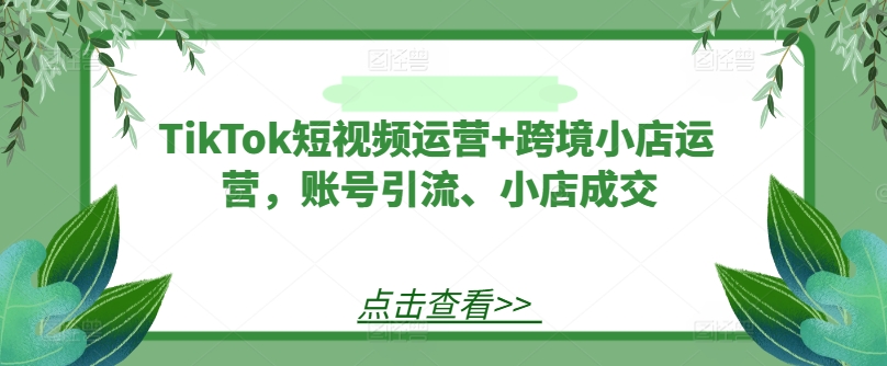 TikTok短视频运营+跨境小店运营，账号引流、小店成交-灼光资源宝库