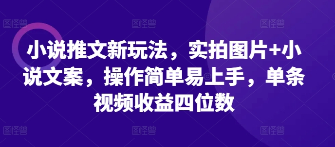 小说推文新玩法，实拍图片+小说文案，操作简单易上手，单条视频收益四位数-灼光资源宝库