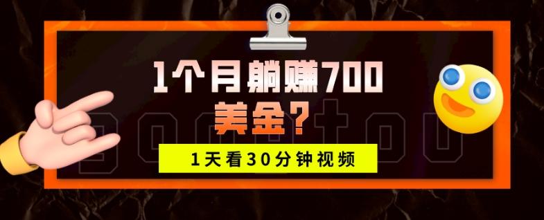 1天看30分钟视频，1个月躺赚700美金？-灼光资源宝库