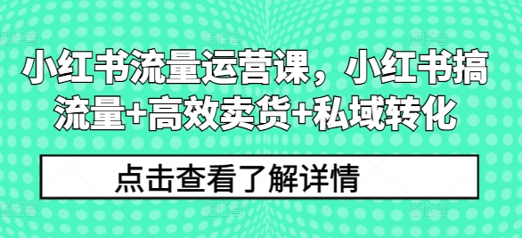 小红书流量运营课，小红书搞流量+高效卖货+私域转化-蘑菇资源宝库