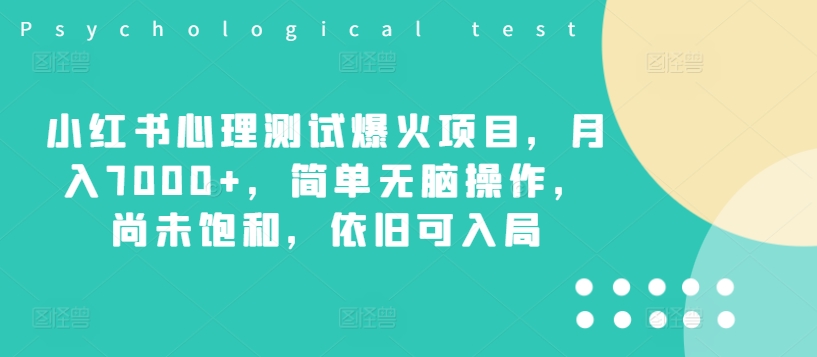 小红书心理测试爆火项目，月入7000+，简单无脑操作，尚未饱和，依旧可入局-灼光资源宝库