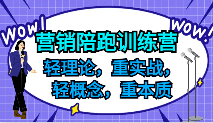 营销陪跑训练营，轻理论，重实战，轻概念，重本质，适合中小企业和初创企业的老板-灼光资源宝库