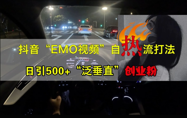 抖音EMO视频自热打法，日引500+“泛垂直”创业粉-灼光资源宝库
