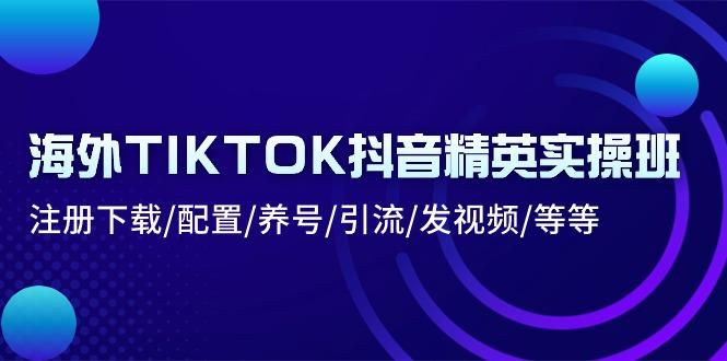 海外TIKTOK抖音精英实操班：注册下载/配置/养号/引流/发视频/等等-灼光资源宝库