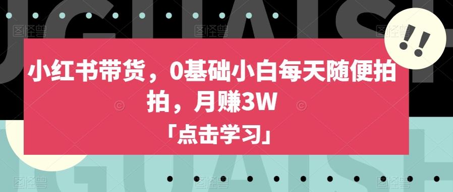小红书带货，0基础小白每天随便拍拍，月赚3W【揭秘】-蘑菇资源宝库