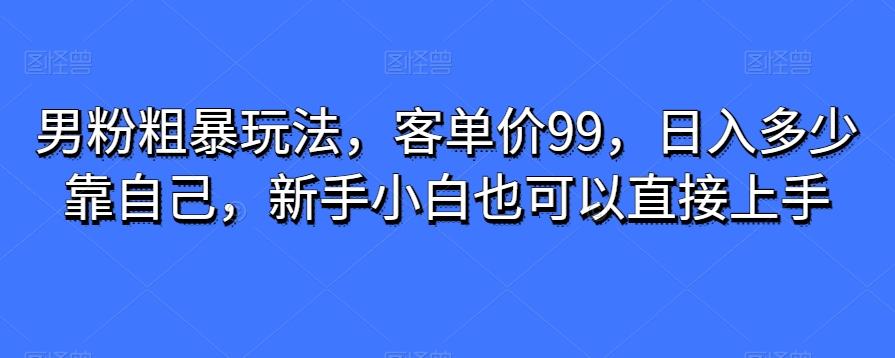 男粉粗暴玩法，客单价99，日入多少靠自己，新手小白也可以直接上手-灼光资源宝库
