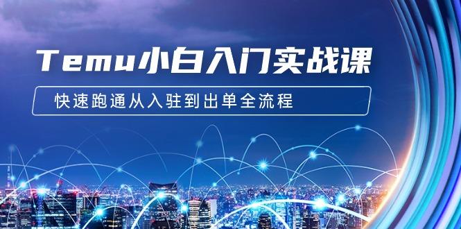 (9295期)Temu小白入门实战课：跨境拼多多电商培训 快速跑通从入驻到出单全流程-12节-灼光资源宝库
