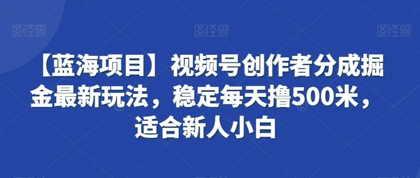 【蓝海项目】视频号创作者分成掘金最新玩法，稳定每天撸500米，适合新人小白【揭秘】-灼光资源宝库