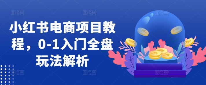 小红书电商项目教程，0-1入门全盘玩法解析-灼光资源宝库