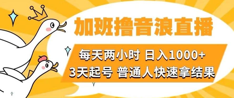 加班撸音浪直播，每天两小时，日入1000+，直播话术才3句，3天起号，普通人快速拿结果【揭秘】-灼光资源宝库