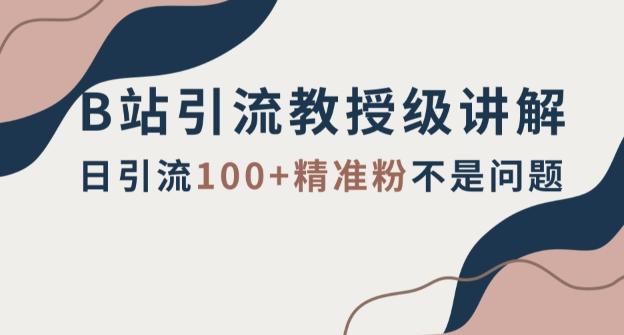 B站引流教授级讲解，细节满满，日引流100+精准粉不是问题【揭秘】-灼光资源宝库