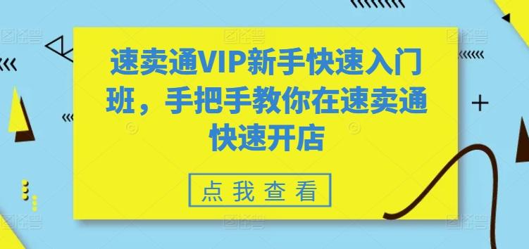 速卖通VIP新手快速入门班，手把手教你在速卖通快速开店-蘑菇资源宝库