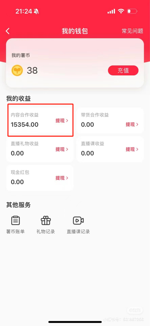 热门评论引爆小红书流量，作品制作简单，广告接到手软，月入过万不是梦-灼光资源宝库