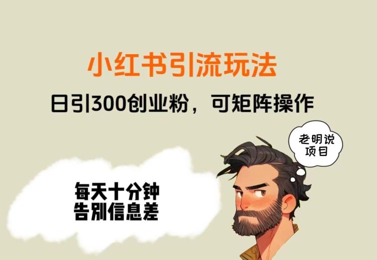 靠小红书视频日印300粉，两分钟一个视频轻松矩阵-灼光资源宝库