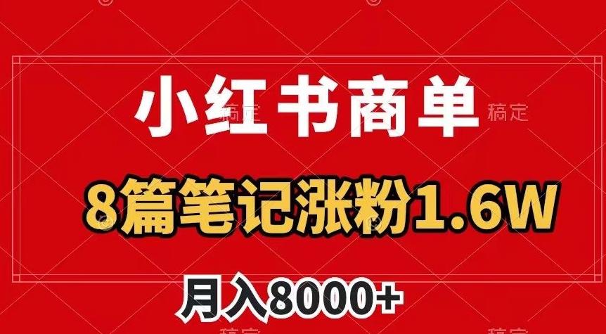 小红书商单最新玩法，8篇笔记涨粉1.6w，作品制作简单，月入8000+【揭秘】-灼光资源宝库