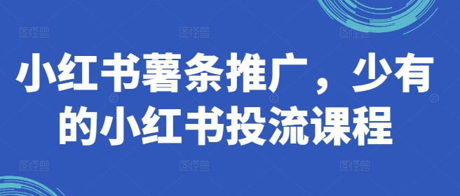 小红书薯条推广，少有的小红书投流课程-灼光资源宝库
