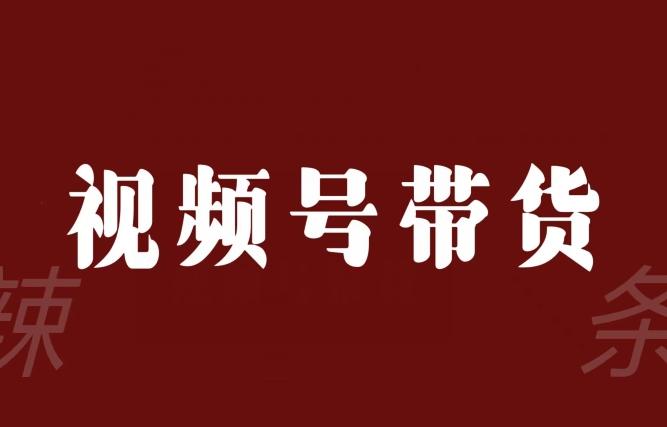视频号带货联盟，赚信息差的带货钱，只需手机随时随地都可以做！-灼光资源宝库