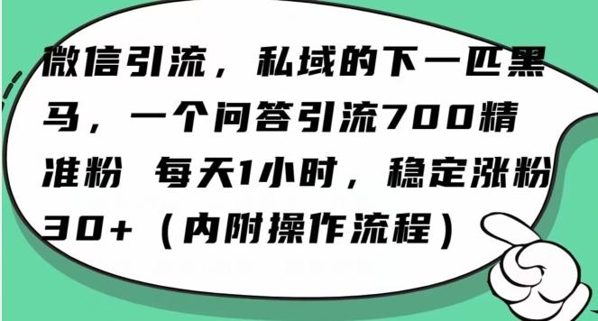 怎么搞精准创业粉？微信新赛道，每天一小时，利用Ai一个问答日引100精准粉-灼光资源宝库