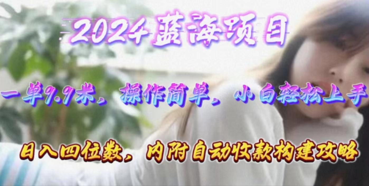 年轻群体的蓝海市场，1单9.9元，操作简单，小白轻松上手，日入四位数-灼光资源宝库