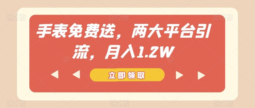 手表免费送，两大平台引流，月入1.2W【揭秘】-灼光资源宝库