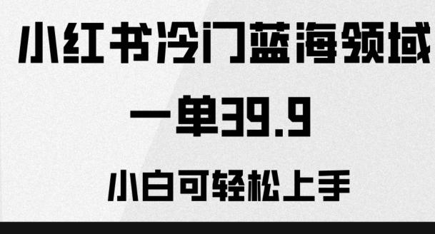 小红书冷门蓝海领域，一单39.9，小白可轻松上手-灼光资源宝库