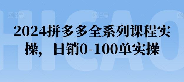 2024拼多多全系列课程实操，日销0-100单实操【必看】-灼光资源宝库