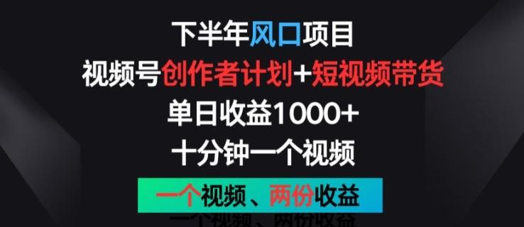 下半年风口项目，视频号创作者计划+视频带货，一个视频两份收益，十分钟一个视频【揭秘】-资源宝库
