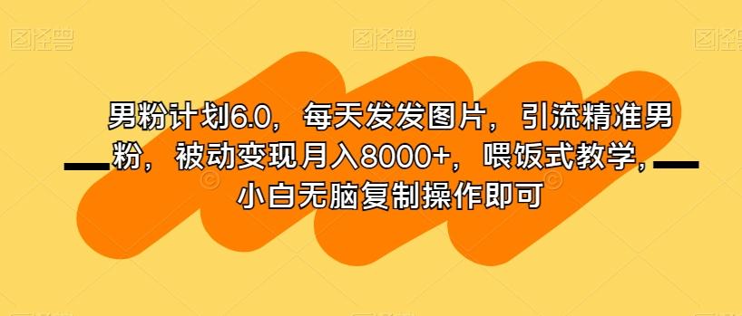 男粉计划6.0，每天发发图片，引流精准男粉，被动变现月入8000+，喂饭式教学，小白无脑复制操作即可-灼光资源宝库
