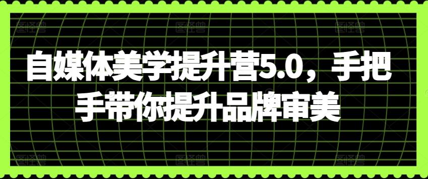 自媒体美学提升营5.0，手把手带你提升品牌审美-灼光资源宝库