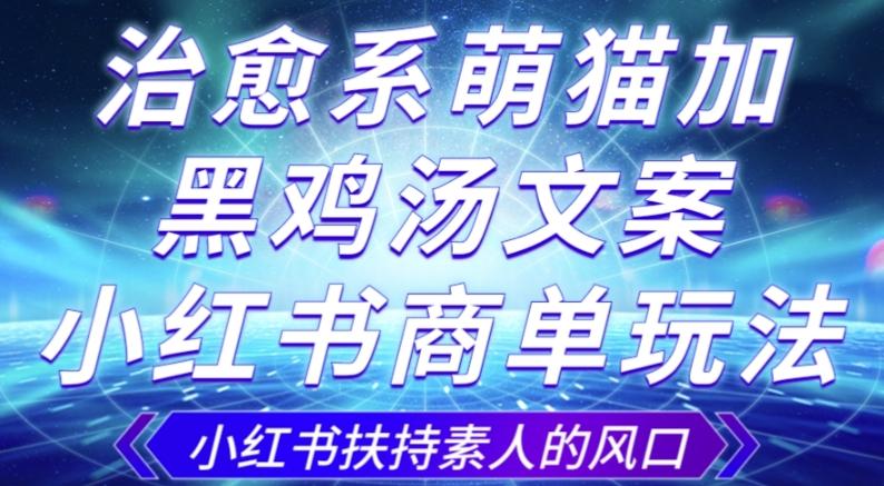 治愈系萌猫加+黑鸡汤文案，小红书商单玩法，3~10天涨到1000粉，一单200左右-灼光资源宝库