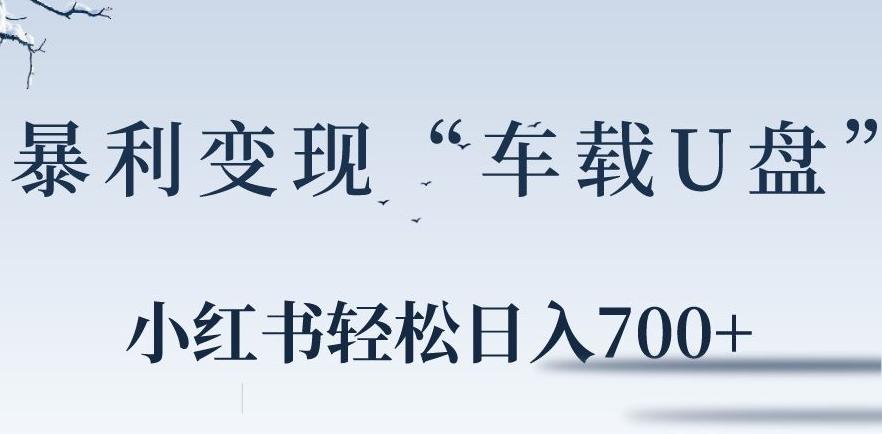 小红书“车载U盘”暴利引流，日入700+-灼光资源宝库