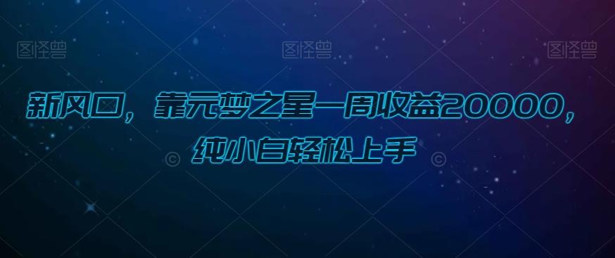 新风口，靠元梦之星一周收益20000，纯小白轻松上手-灼光资源宝库