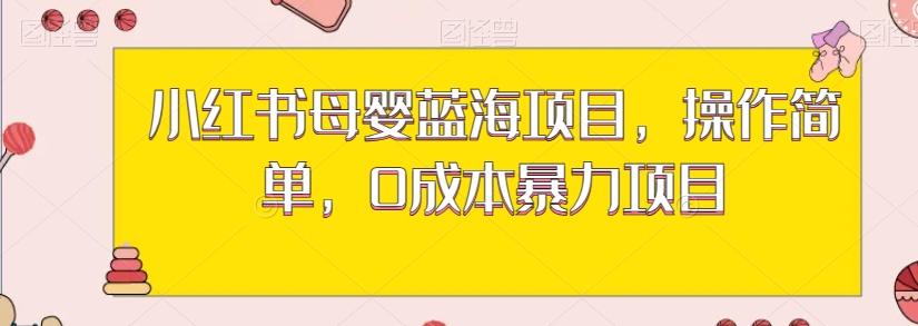 小红书母婴蓝海项目，操作简单，0成本暴力项目-灼光资源宝库
