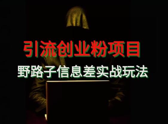 【引流创业粉】野路子信息差玩法实战教学-灼光资源宝库