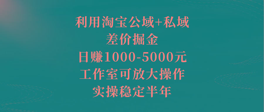 利用淘宝公域+私域差价掘金，日赚1000-5000元，工作室可放大操作，实操…-灼光资源宝库