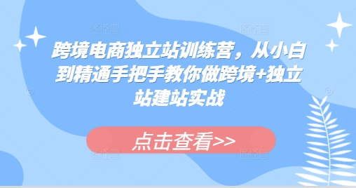 跨境电商独立站训练营，从小白到精通手把手教你做跨境+独立站建站实战-灼光资源宝库